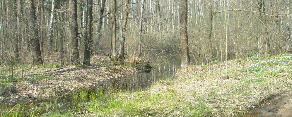 
            Фотография Малого Кривотина