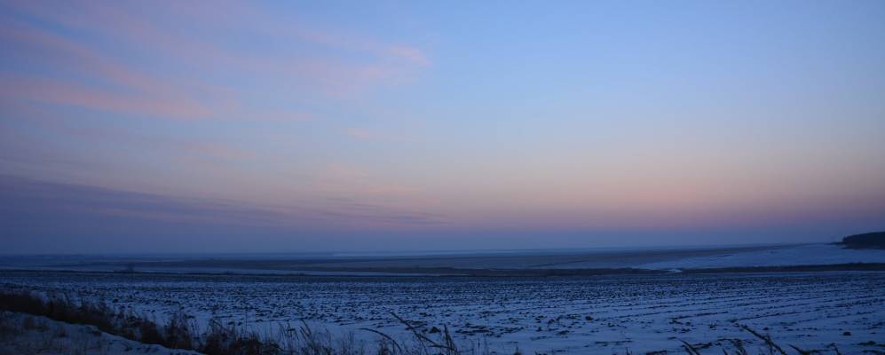 
            Фотография Ленинского