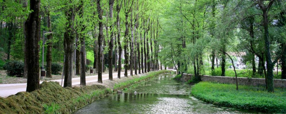 Фотография Скеджино