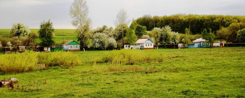 Фотография Падины