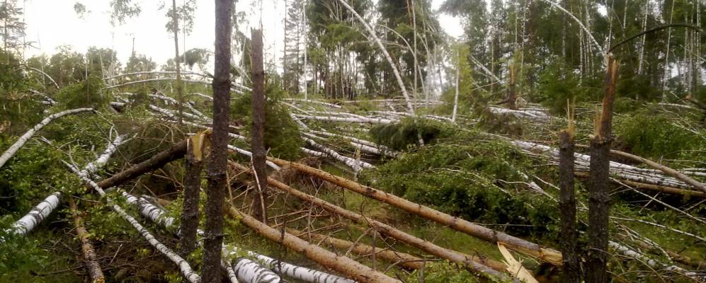 
            Фотография Мызино