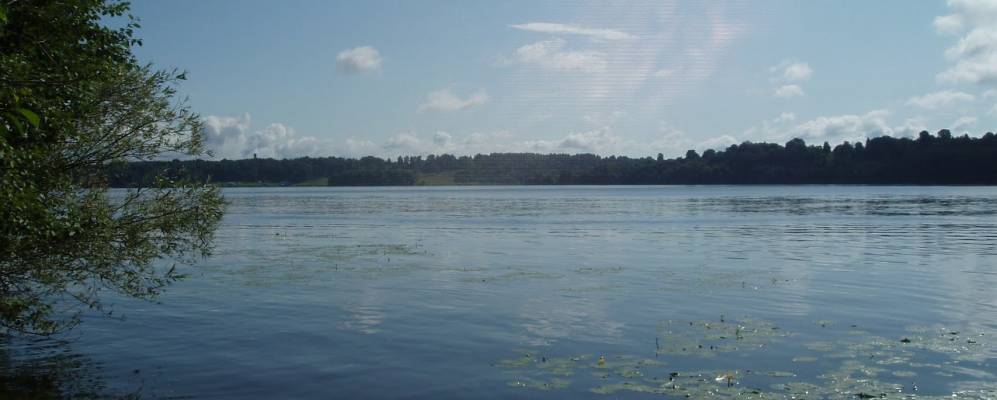 
            Фотография Крестелёво