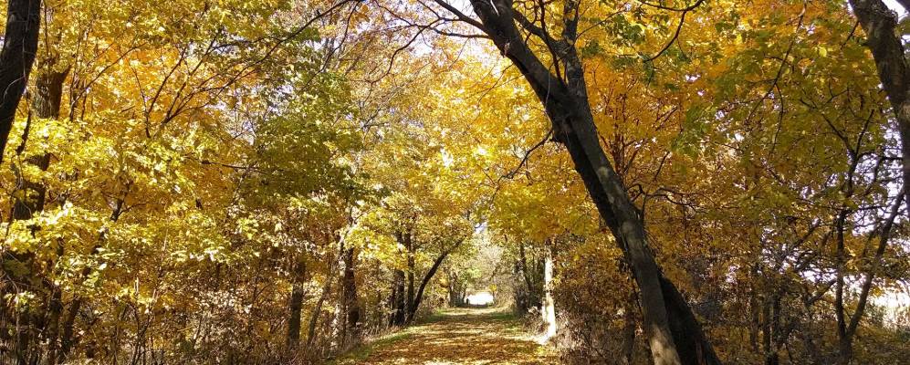 
            Фотография Прайнсевилла