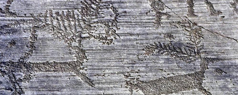 
            Фотография Капо-ди-Понте