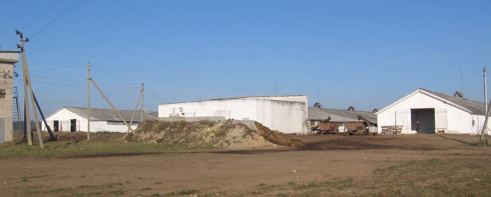 Фотография Поначи