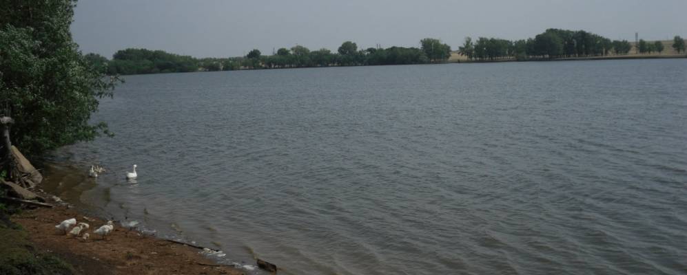 Фотография Мананникова