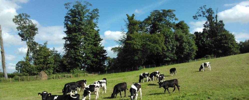 
            Фотография Антрима