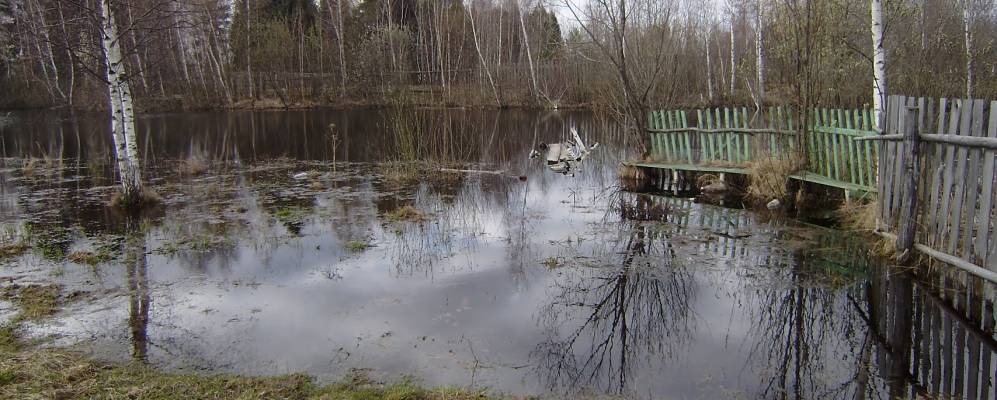 
            Фотография Северного