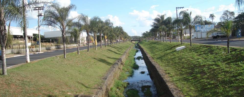 
            Фотография Жаботикабал