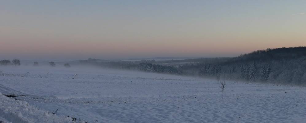 
            Фотография Обыча