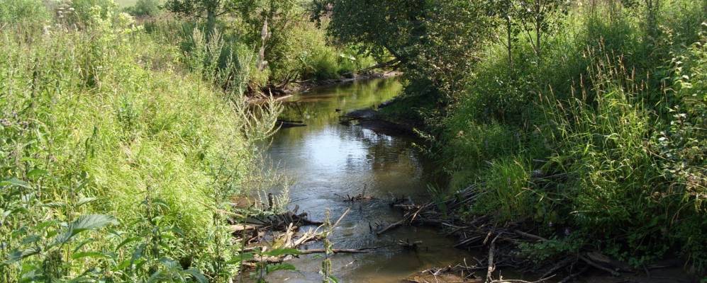 
            Фотография Ефимково