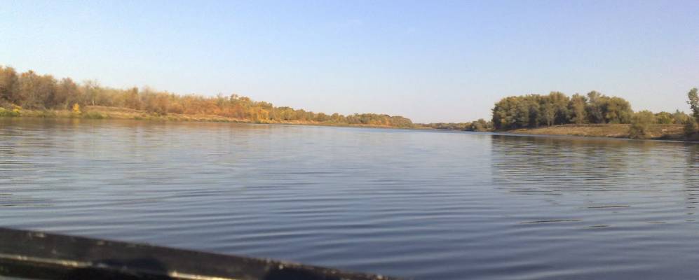 
            Фотография Лесхоза Номер Пять