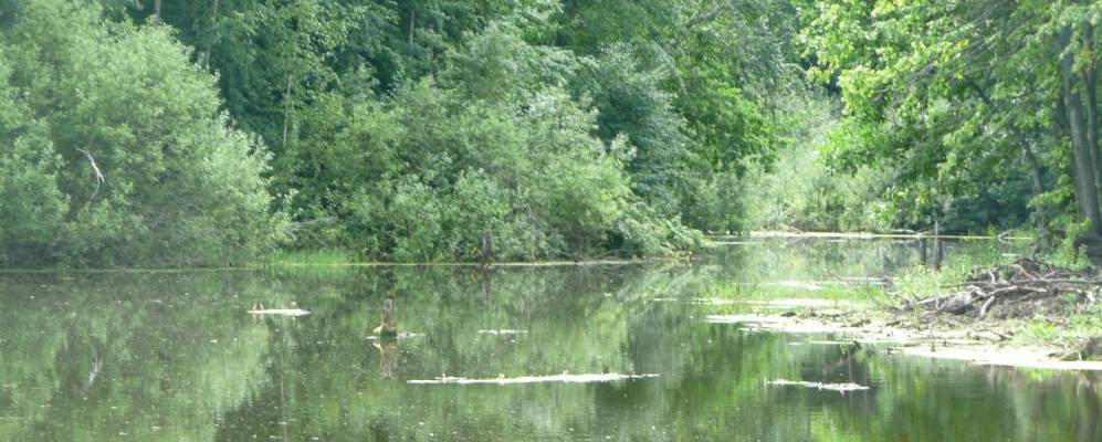 
            Фотография Красного Востока