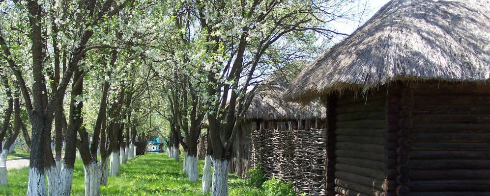 
            Фотография Красного