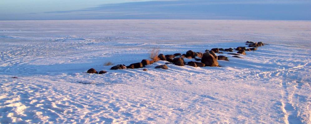 Фотография Сааритсы