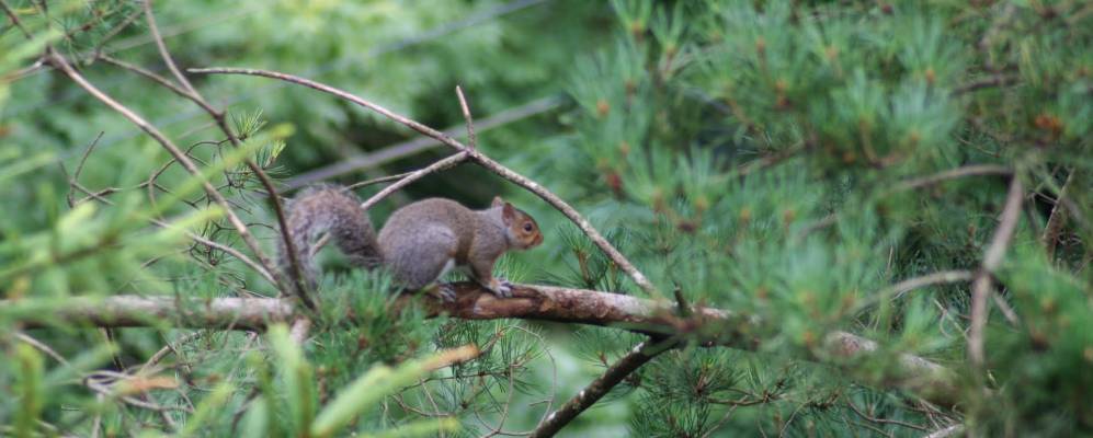 
            Фотография Талсарнау