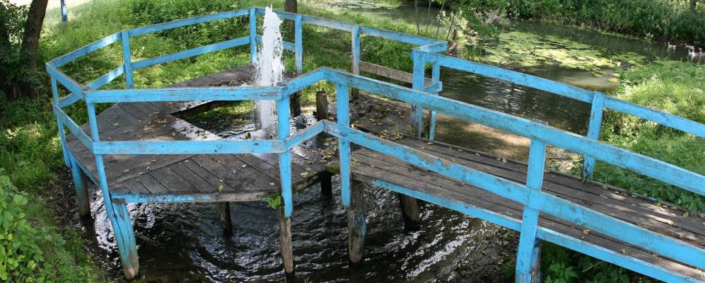 
            Фотография Шишковки