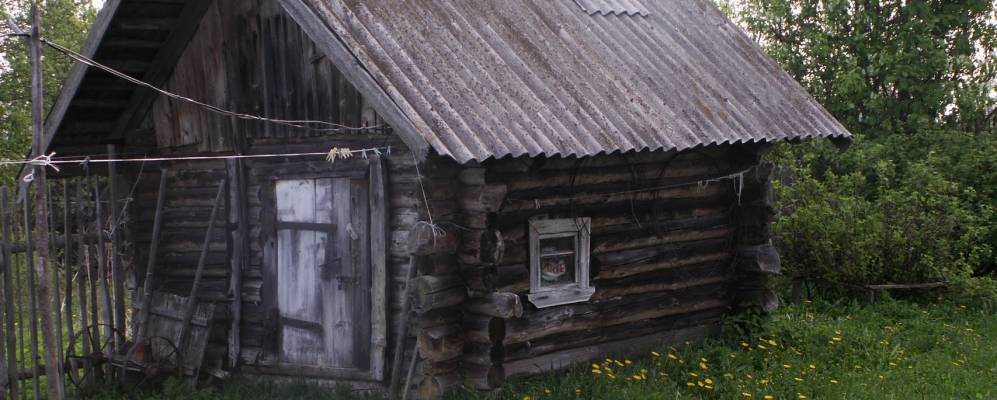 Деревня Поплевино Рамешковского района Тверской области