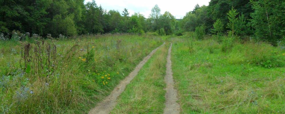 
            Фотография Свиридоново