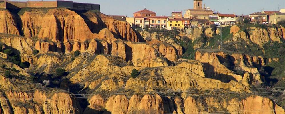 
            Фотография Торо