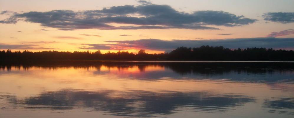 
            Фотография Гвоздно