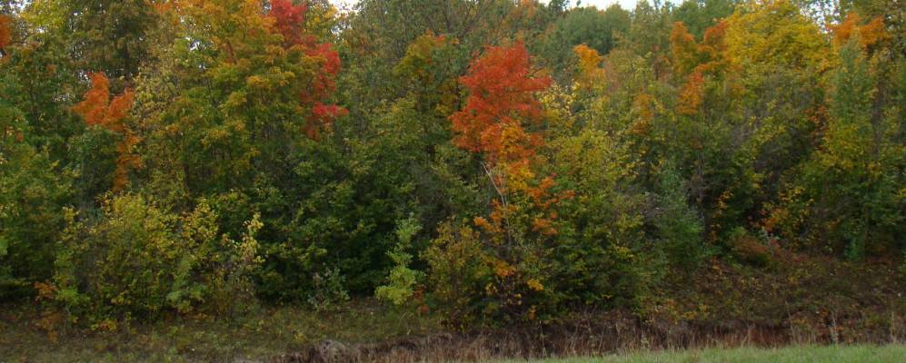 
            Фотография Гумерово