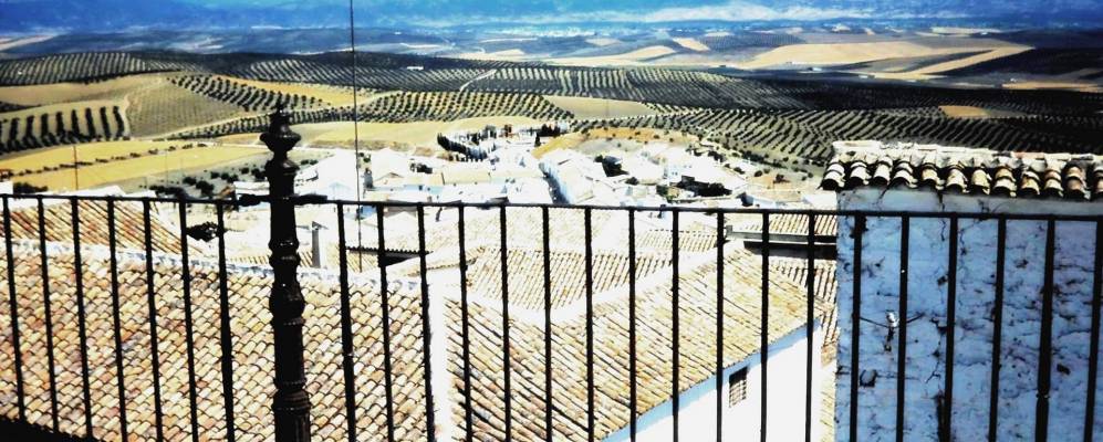 
            Фотография Архоны