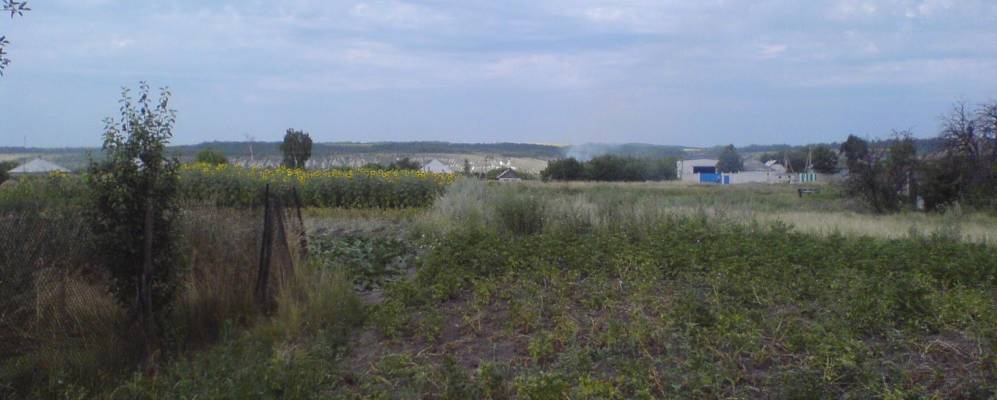 
            Фотография Новоникольского