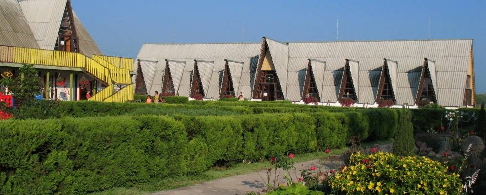 
            Фотография Мокрого