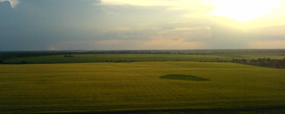 Фотография Слепорода