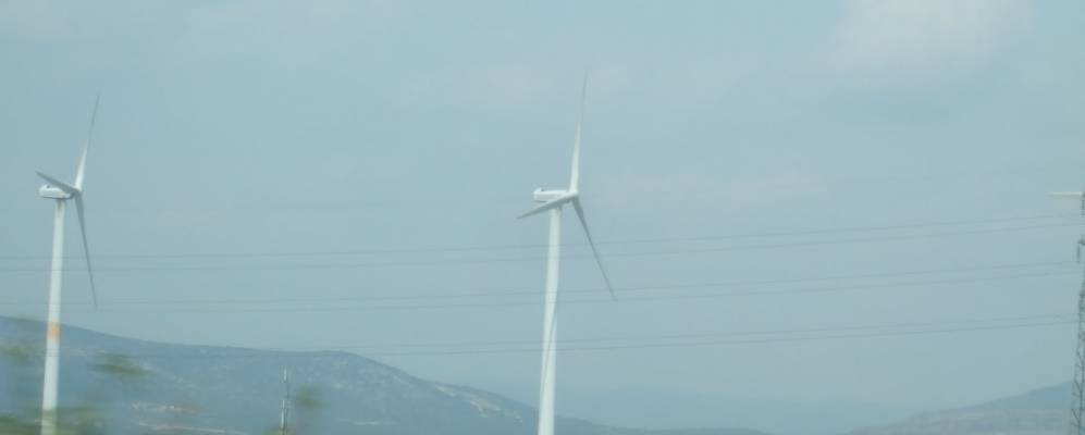 
            Фотография Полестра