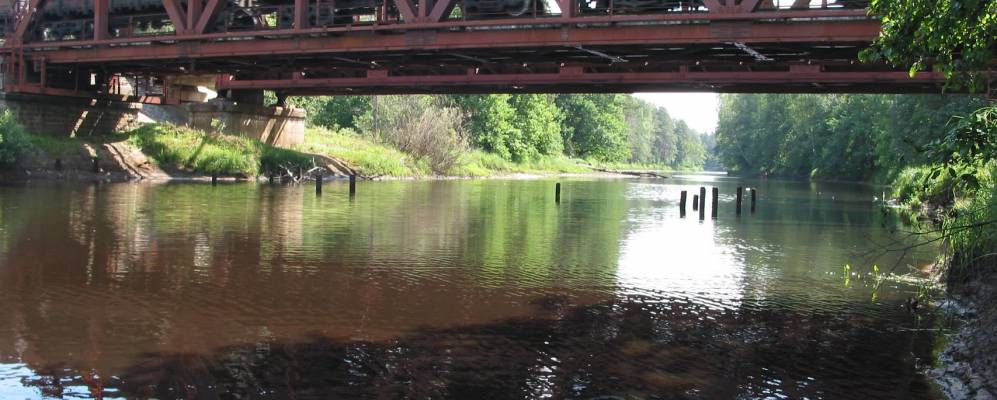 Фотография Бужи