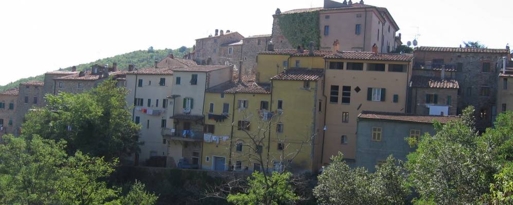 
            Фотография Сассетты