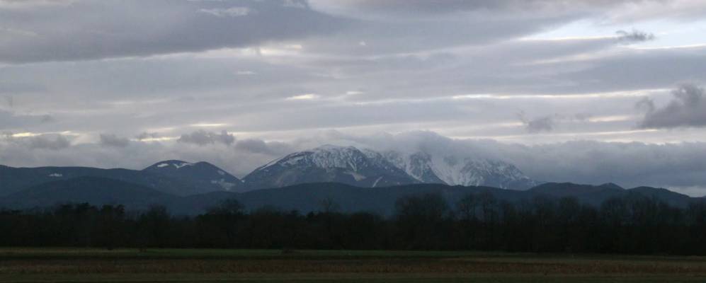 
            Фотография Ригерсдорфа