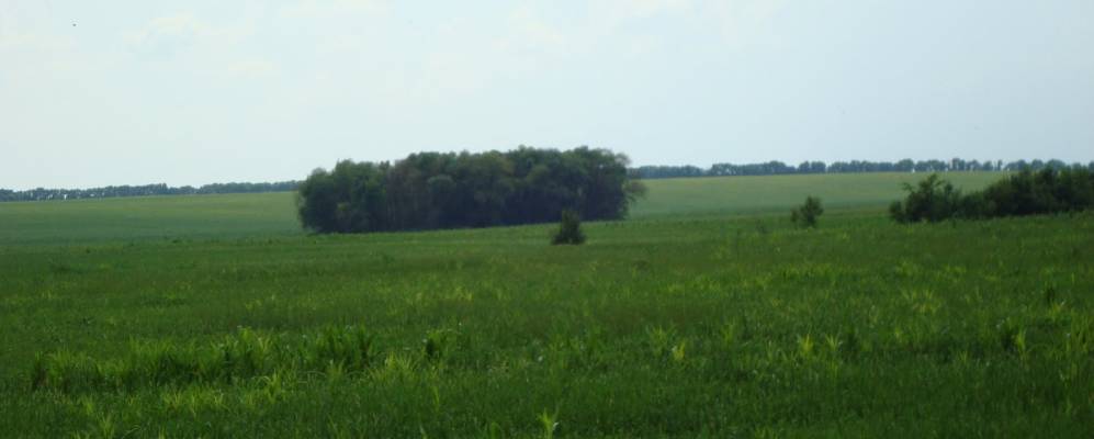 
            Фотография Волчьей Долиной