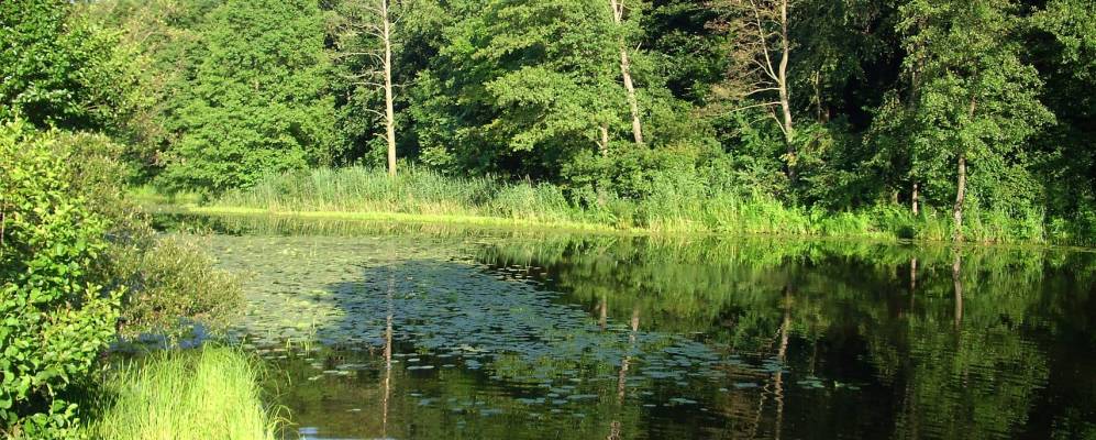 
            Фотография Голубовки