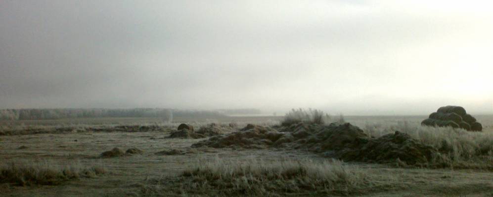 Фотография деревни Новинки