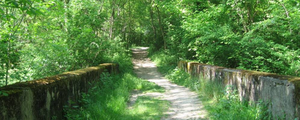 
            Фотография Вернезона