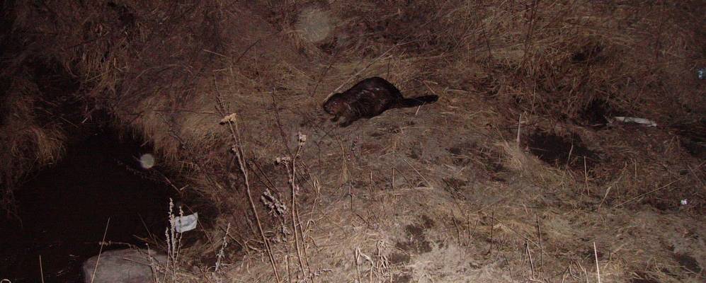 Фотография Ушаковы