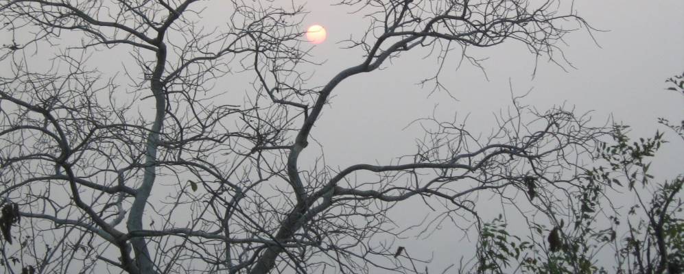 
            Фотография Рагунатпура