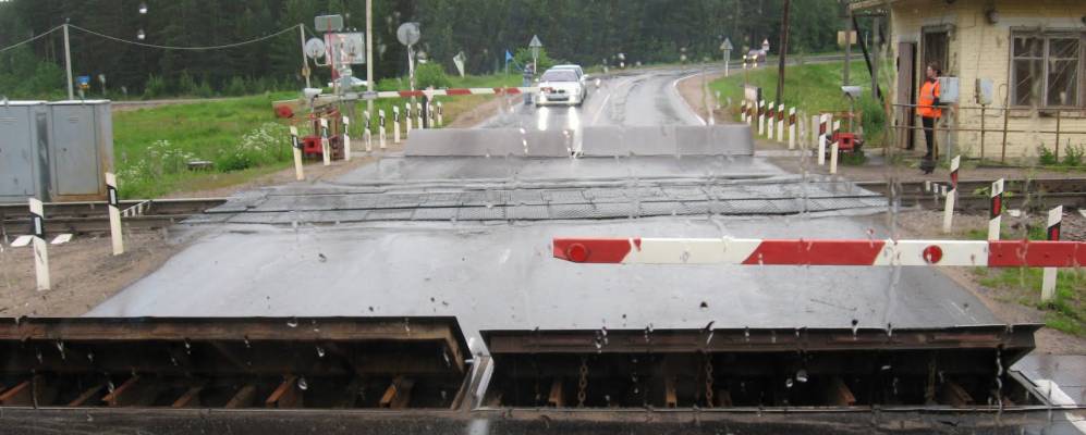 Фотография Лесного