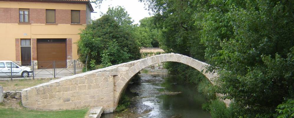 
            Фотография Каламочы