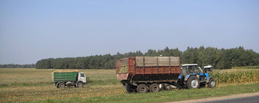 
            Фотография Задворья