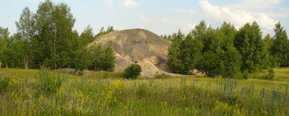 
            Фотография Малёвки