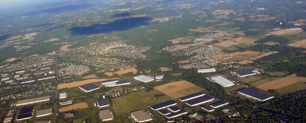 
            Фотография Кранбери