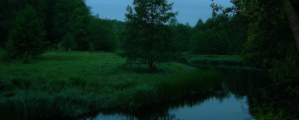 Фотография Селиваново