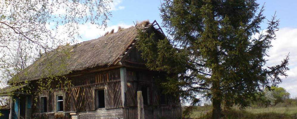 
            Фотография Дымарки