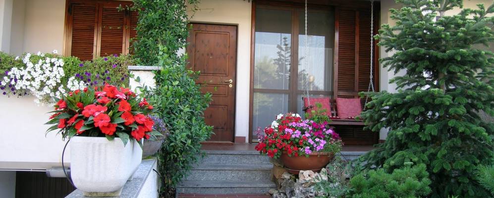 Фотография Новильо