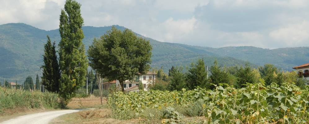 
            Фотография Ригутино