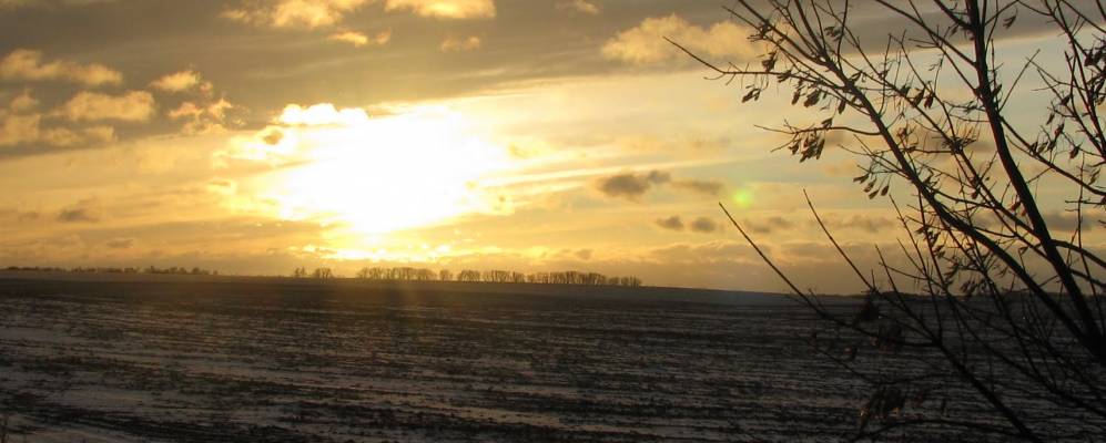 
            Фотография Новониколаевки